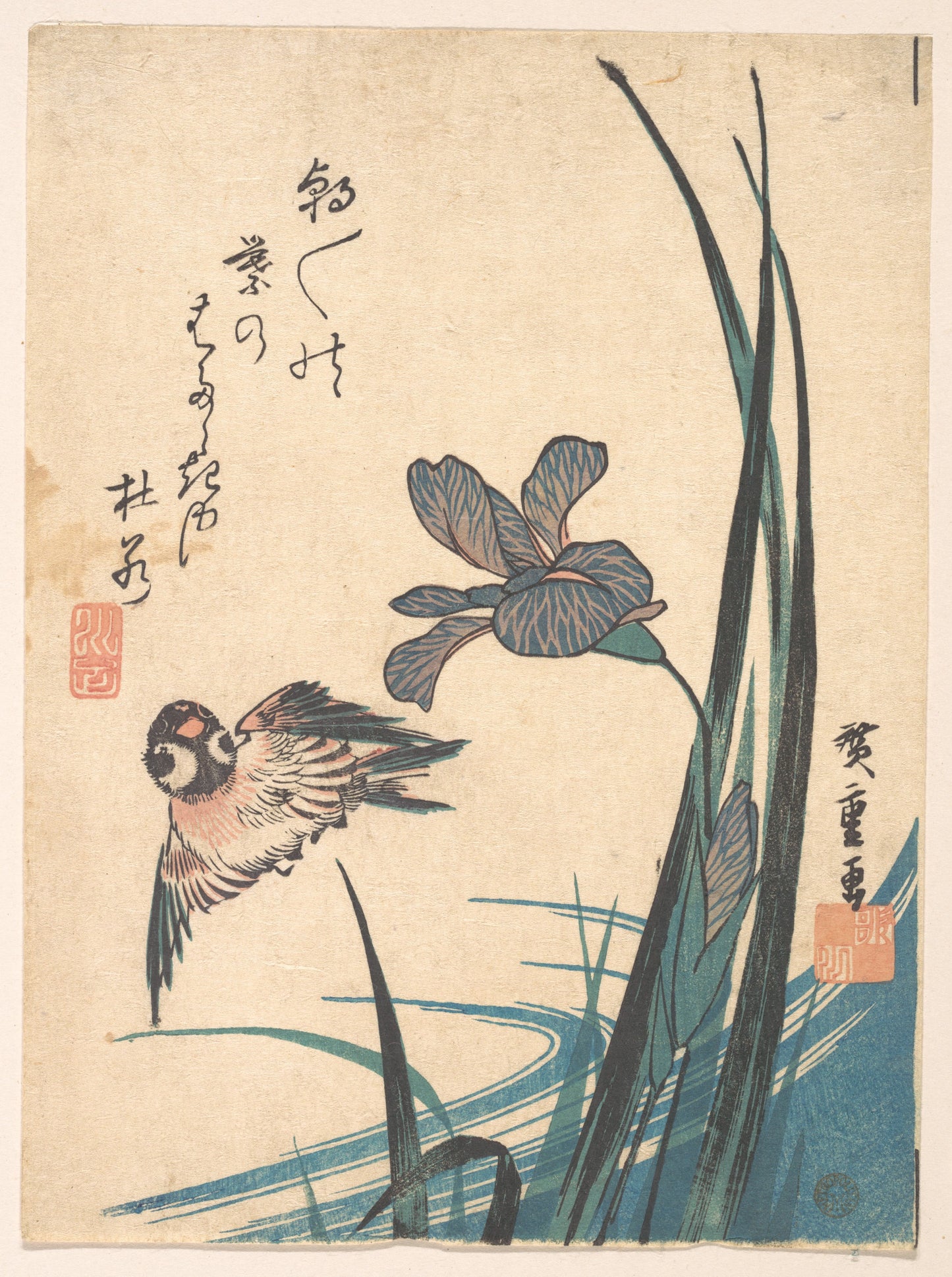 菖蒲と雀 歌川広重 Iris Sparrow Hiroshige