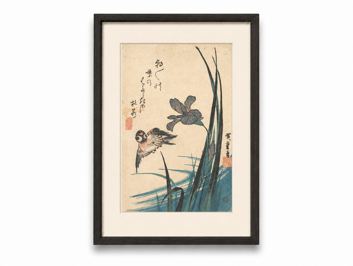 菖蒲と雀 花鳥画 白背景